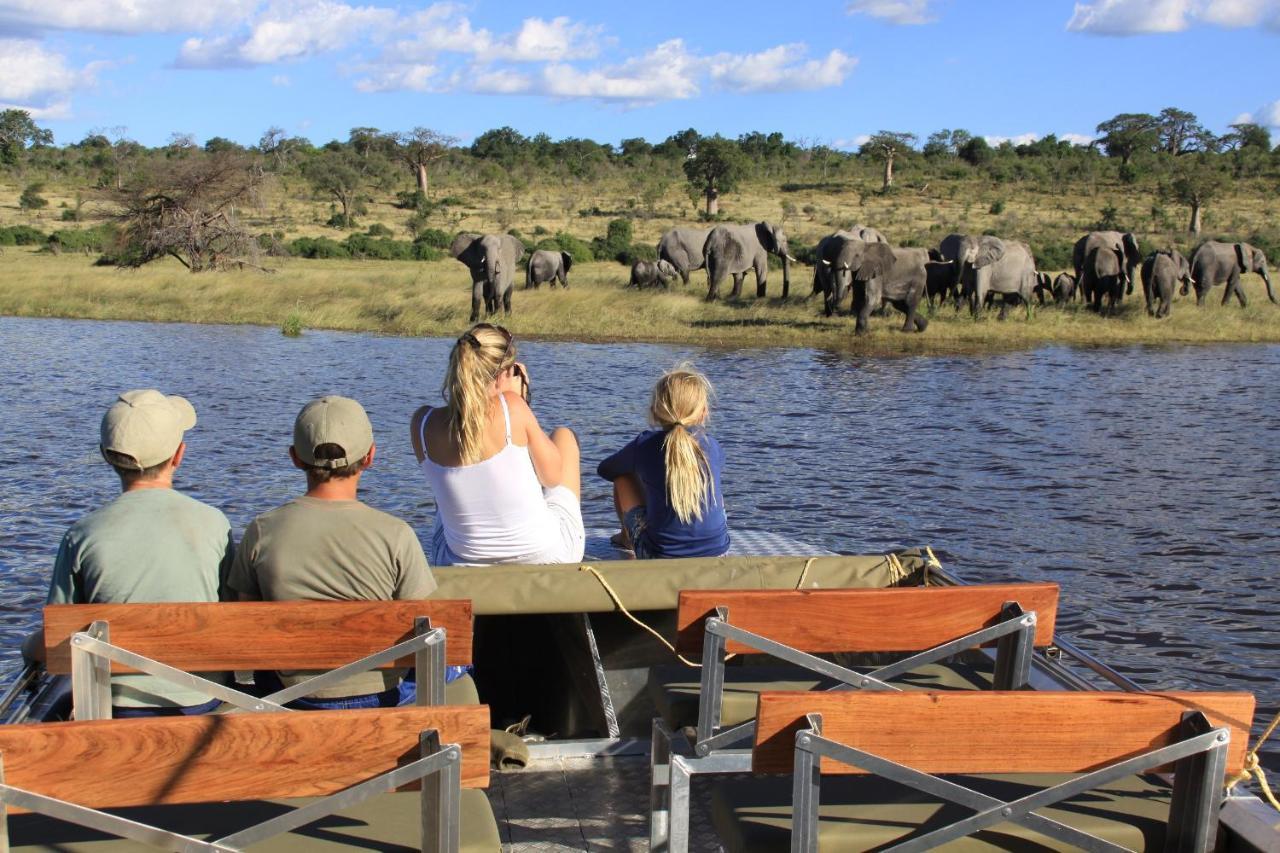 Chobe River Campsite Ngoma Eksteriør billede